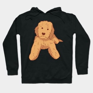 Golden doodle dog sitting Hoodie